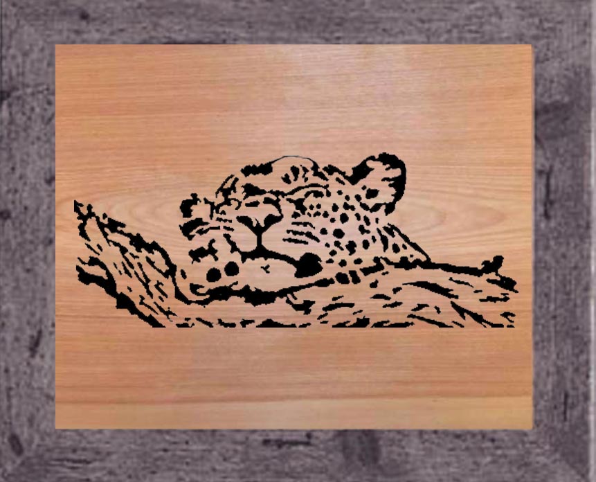Sleepy Leopard