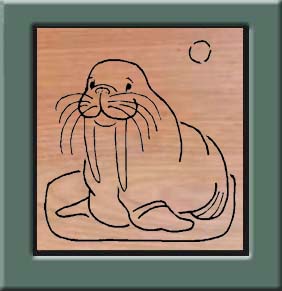 Walrus