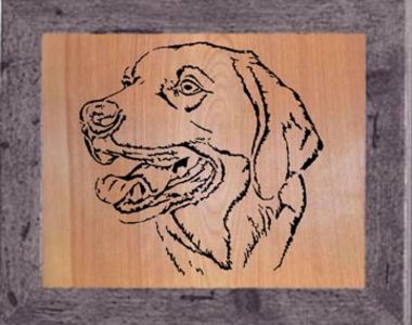 Yellow Lab Retriever