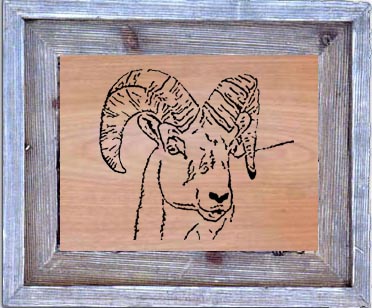 Ram