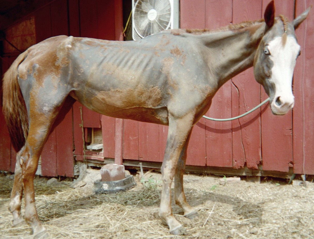 Hope in early September 2003