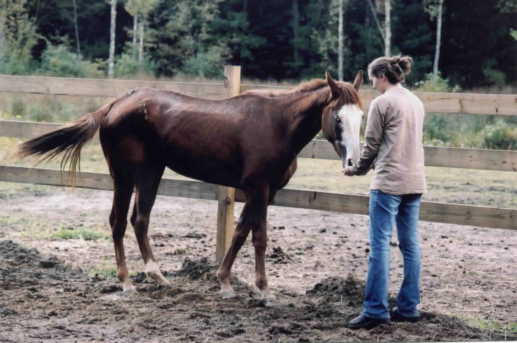 Hope getting some treats from an SCR volunteer