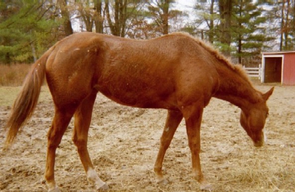 Hope in November 2003
