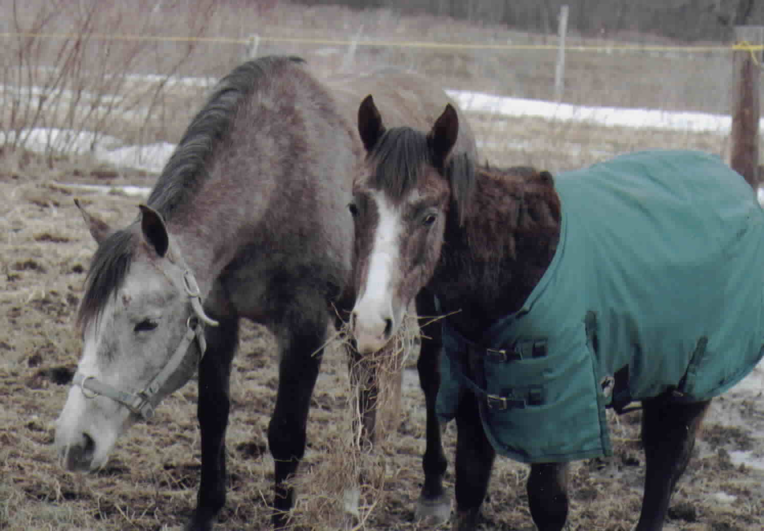 The kids