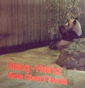 Hsing Hsing '85