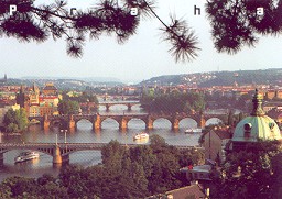 Thank you Richard K. (Czech Republic)