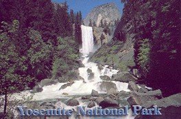 Thank you Natalya P. (USA)