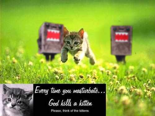 how many kittens have you killed?