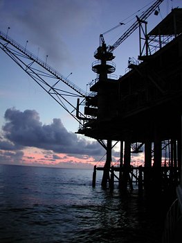 udang b sunrise