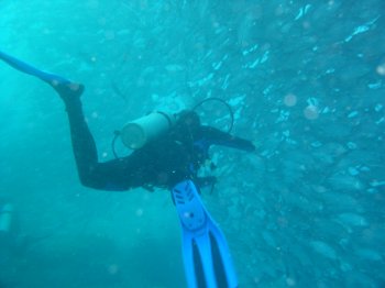 rob chasing jacks