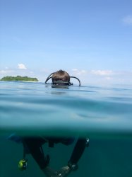 rob floating