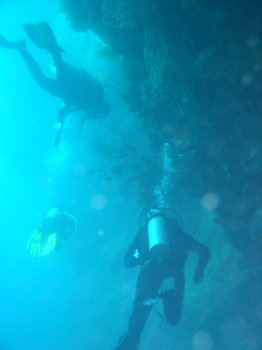 dropoff at sipadan