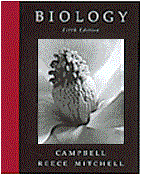 Click here to go to the book's website.