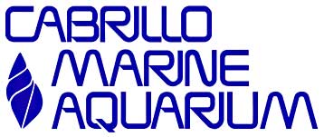 Go to the Cabrillo Marine Aquarium in San Pedro.