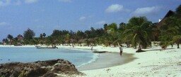 Life is a beach...