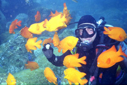 He is NOT feeding the Garibaldis!
