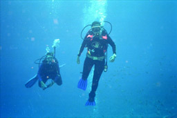 Hangin' in the Blue Ocean