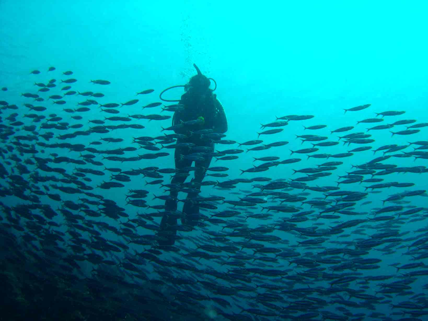 Divers X-ing...