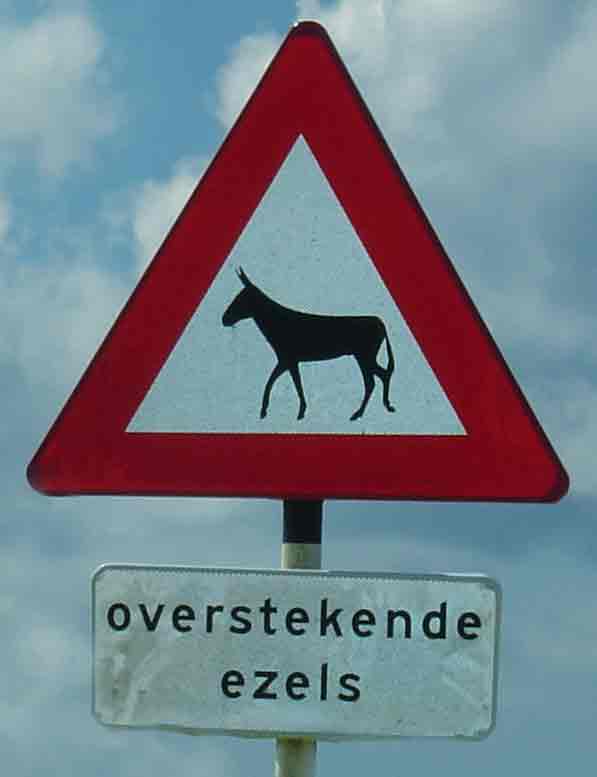 Overstrekende Ezels!