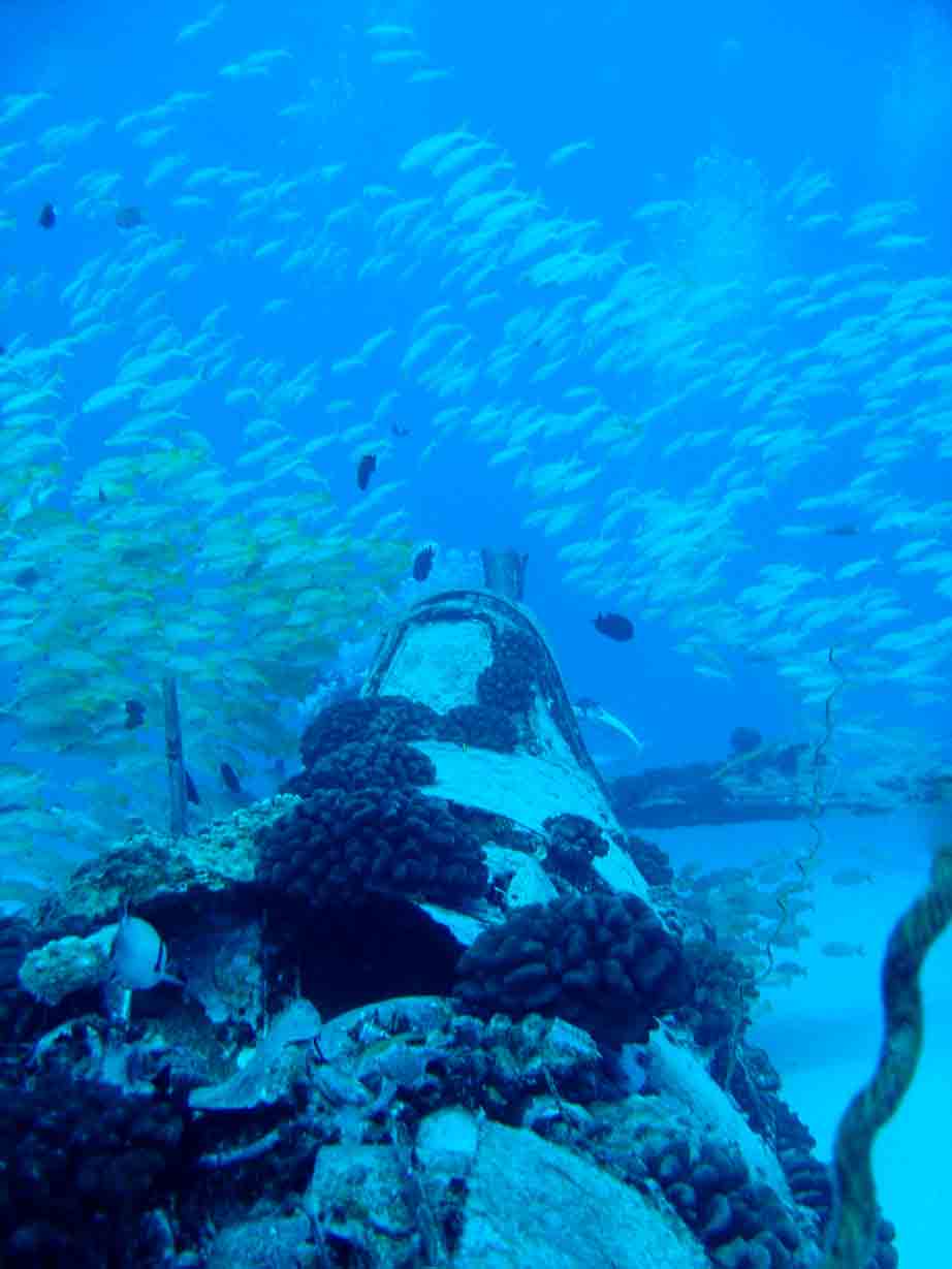 Bad for the pilot... good for divers!