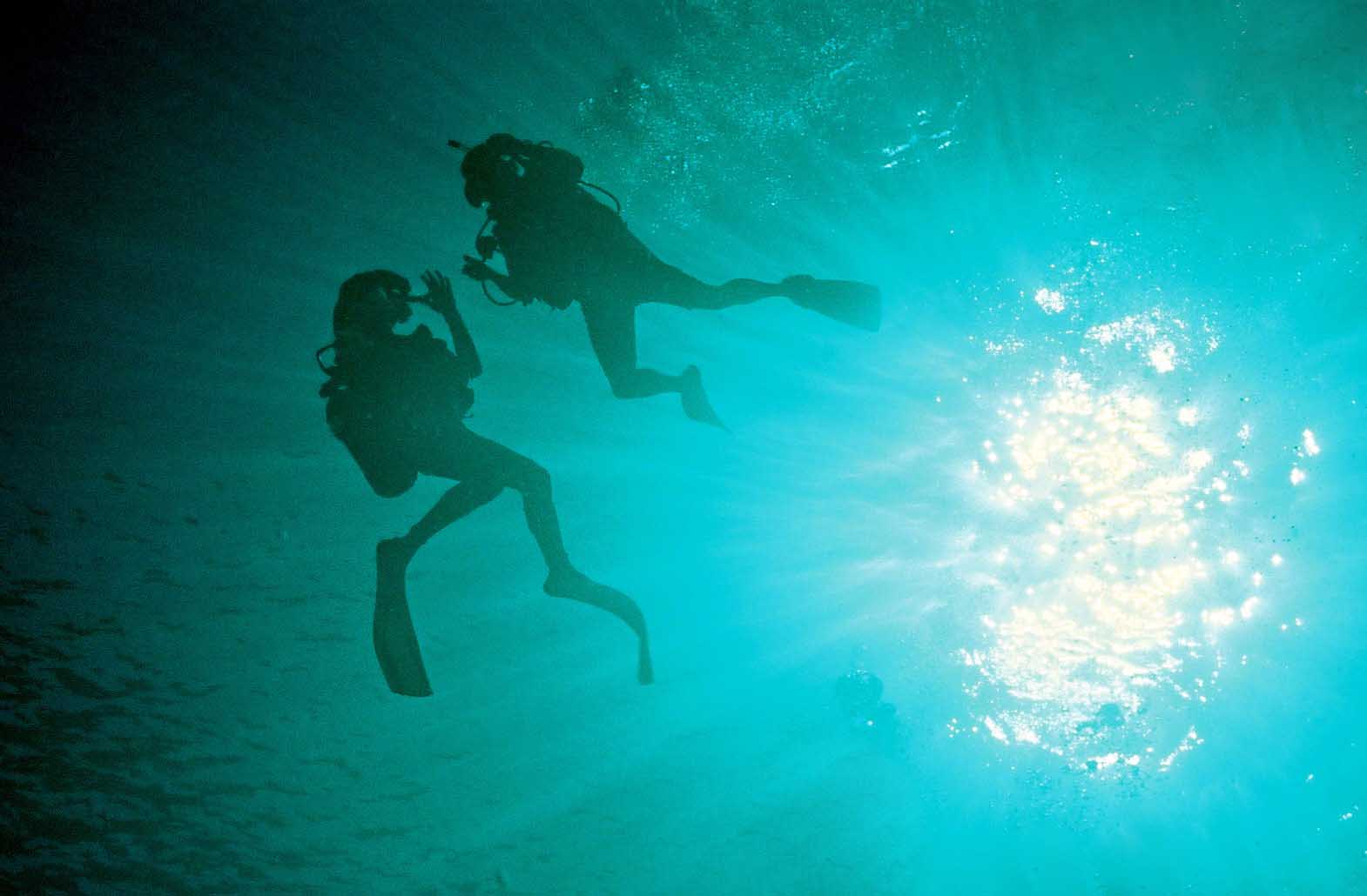 Dancing in the sea...