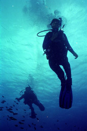 Deep Blue Wonder