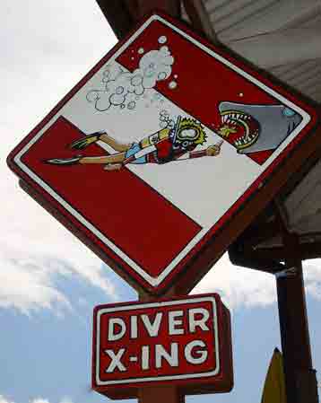 Drive careful... when divers are crossing!
