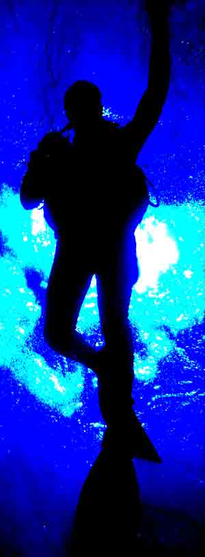 Achtung... divers will have fun!
