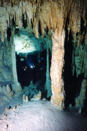 Divers Explore Dos Ojos