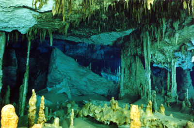 Incredible Experiences in Scuba Diving