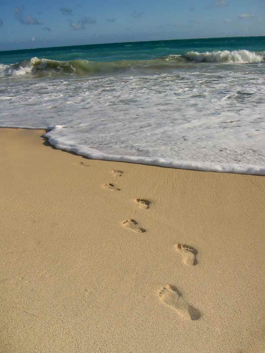 This is the way... to the ocean!