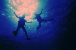 Hanging in the blue...
