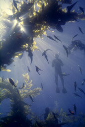 A Magic Dive!