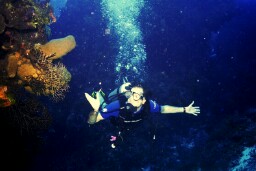 ... proudly presents... glorious diving!