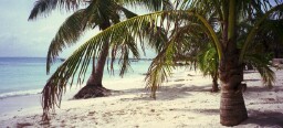 Akumal Beach beats them all!