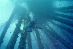 Scuba Dance