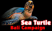 Kurt Amsler has more Information - Click this link!