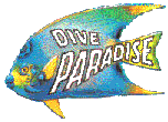 Dive Paradise in Cozumel