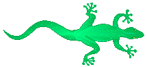 The lizard takes you to the Sea Breeze Beach House