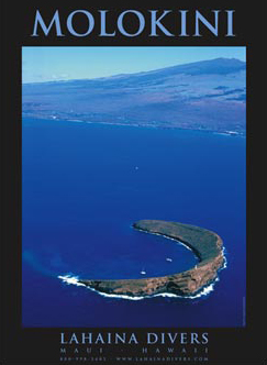 Molokini Island - Diving Paradise!