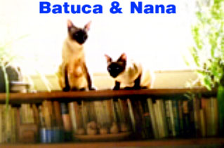 Batuca e Nana pegam um solzinho
