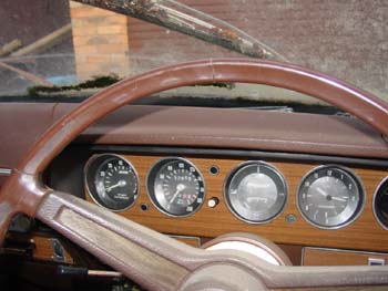 dash.jpg (25869 bytes)