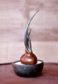 Onion