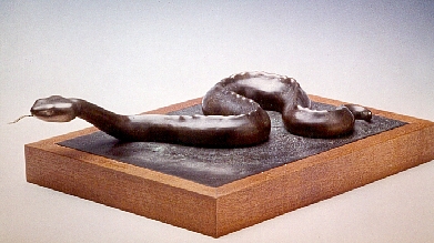 Slithering Snake