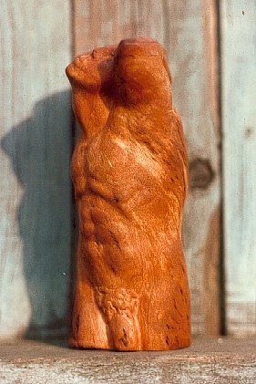 Torso