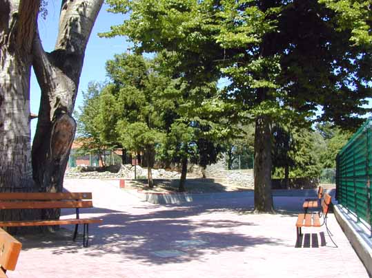 Scorcio del giardino