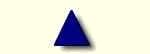 TOPgiallo.jpg (885 byte)