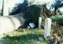 Hurricane Fran Damage