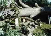 Hurricane Fran Damage