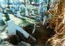 Hurricane Fran Damage
